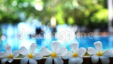 新鲜的白色佛兰吉帕尼梅，热带奇花，在模糊的游泳池水和佛兰吉帕尼树上。 慢慢慢慢